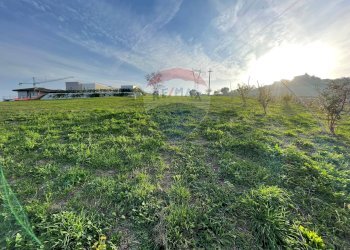 Giardino - Terreno edificabile Via Giuseppe Di Vittorio
 
SNC, Ancona - foto 10