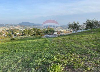 Giardino - Terreno edificabile Via Giuseppe Di Vittorio
 
SNC, Ancona - foto 13