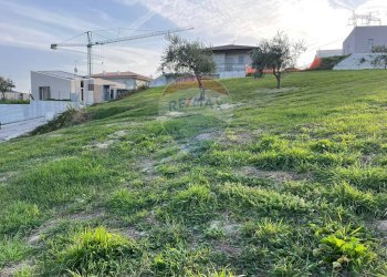Giardino - Terreno edificabile Via Giuseppe Di Vittorio
 
SNC, Ancona - foto 15