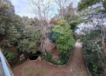 Giardino - Casa indipendente Via Ville
 
7, Falconara Marittima - foto 24