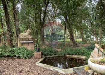 Giardino - Casa indipendente Via Ville
 
7, Falconara Marittima - foto 26