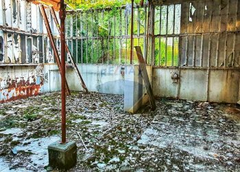 Terrazza - Hotel Certosa di Pavia - foto 28