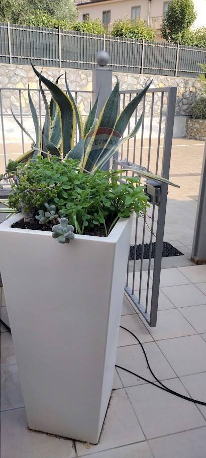 Dettagli - Casa semi indipendente via caffaro
 
4, Andora - foto 3