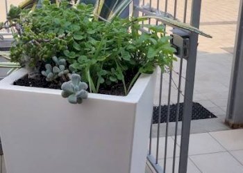 Dettagli - Casa semi indipendente via caffaro
 
4, Andora - foto 3