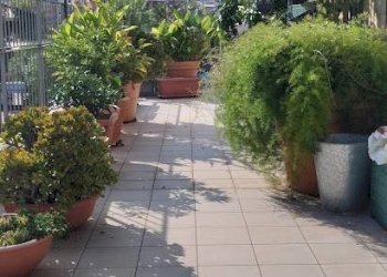 Terrazza - Casa semi indipendente via caffaro
 
4, Andora - foto 5