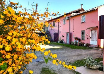 Casa all\'aperto - Rustico via Ponti
 
70, San Zenone al Po - foto 3