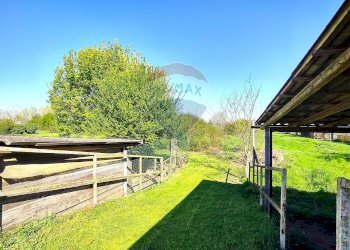 Giardino - Rustico via Ponti
 
70, San Zenone al Po - foto 11