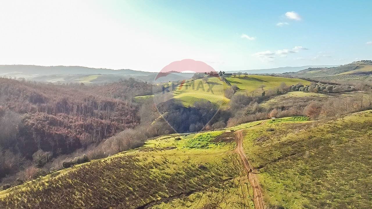 Vista delle montagne - Terreno agricolo Poggio Murella
 
snc, Manciano - foto 1