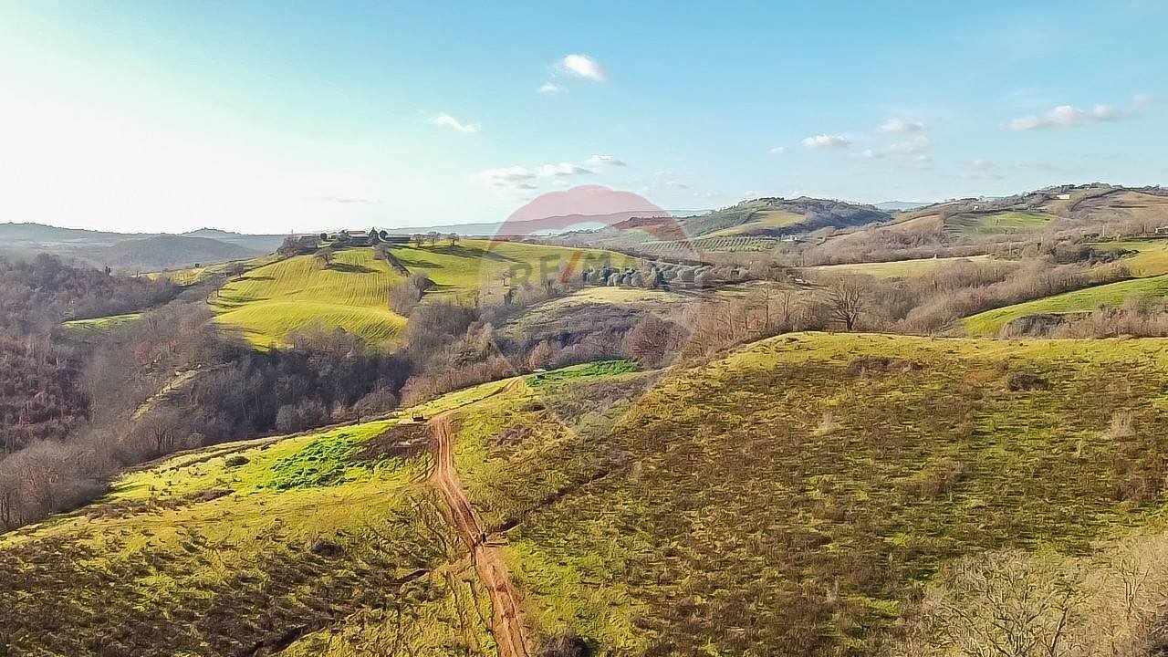 Vista delle montagne - Terreno agricolo Poggio Murella
 
snc, Manciano - foto 2