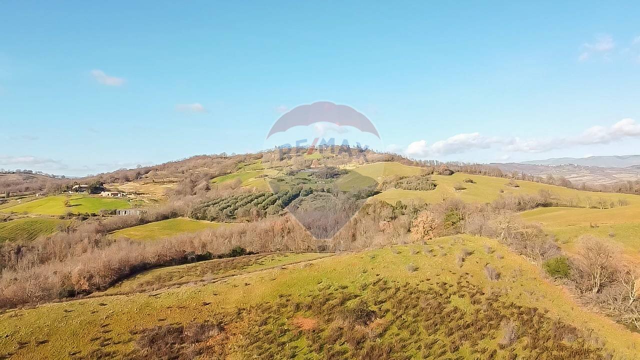 Vista delle montagne - Terreno agricolo Poggio Murella
 
snc, Manciano - foto 3