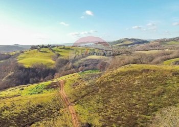 Vista delle montagne - Terreno agricolo Poggio Murella
 
snc, Manciano - foto 2