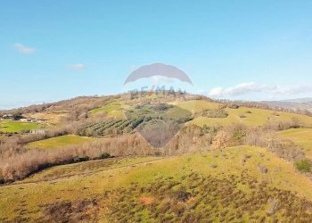 Vista delle montagne - Terreno agricolo Poggio Murella
 
snc, Manciano - foto 3