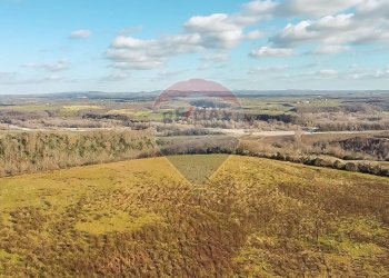 Vista delle montagne - Terreno agricolo Poggio Murella
 
snc, Manciano - foto 5