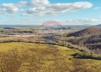 Vista delle montagne - Terreno agricolo Poggio Murella
 
snc, Manciano - foto 6