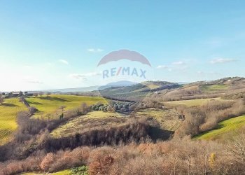 Vista delle montagne - Terreno agricolo Poggio Murella
 
snc, Manciano - foto 7