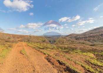 Vista delle montagne - Terreno agricolo Poggio Murella
 
snc, Manciano - foto 8