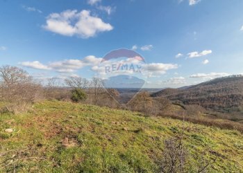 Vista delle montagne - Terreno agricolo Poggio Murella
 
snc, Manciano - foto 9
