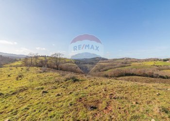 Vista delle montagne - Terreno agricolo Poggio Murella
 
snc, Manciano - foto 11