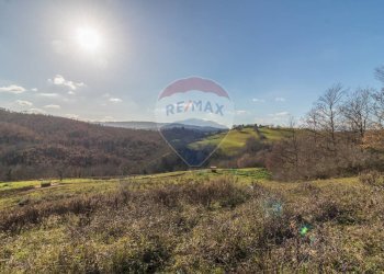 Vista delle montagne - Terreno agricolo Poggio Murella
 
snc, Manciano - foto 12