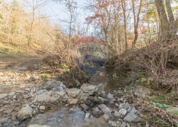 Giardino - Terreno agricolo Poggio Murella
 
snc, Manciano - foto 14