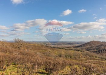 Vista delle montagne - Terreno agricolo Poggio Murella
 
snc, Manciano - foto 16