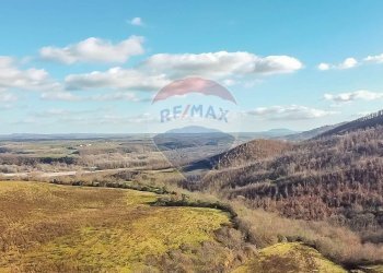 Vista delle montagne - Terreno agricolo Poggio Murella
 
snc, Manciano - foto 17