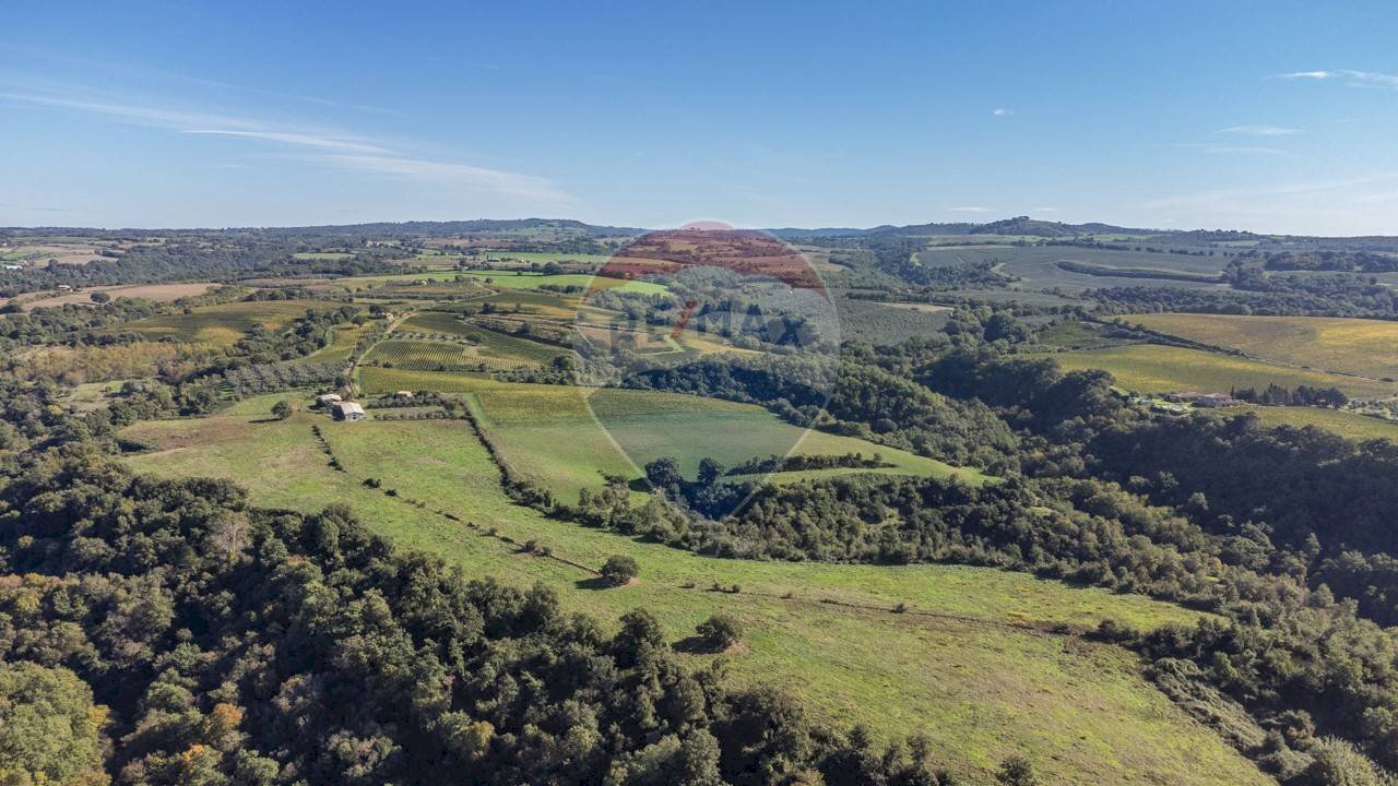 Vista delle montagne - Agricultural land Località Campetuzzi, Pitigliano - photo 2