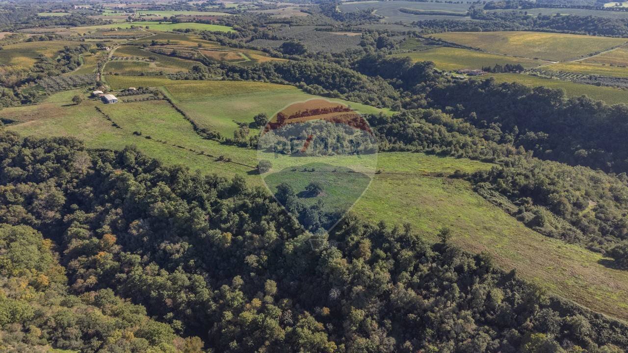 Vista delle montagne - Agricultural land Località Campetuzzi, Pitigliano - photo 3