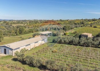 Casa all\'aperto - Terreno agricolo Località Campetuzzi, Pitigliano - foto 1