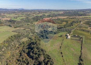 Vista delle montagne - Terreno agricolo Località Campetuzzi, Pitigliano - foto 5