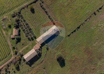 Posizione della mappa - Terreno agricolo Località Campetuzzi, Pitigliano - foto 8