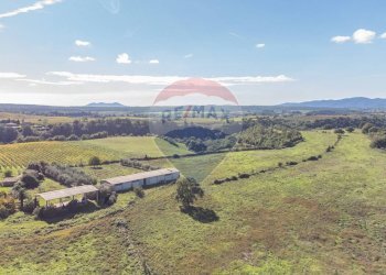 Vista delle montagne - Terreno agricolo Località Campetuzzi, Pitigliano - foto 10