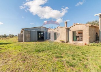 Casa all\'aperto - Terreno agricolo Località Campetuzzi, Pitigliano - foto 12