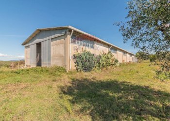 Casa all\'aperto - Terreno agricolo Località Campetuzzi, Pitigliano - foto 13