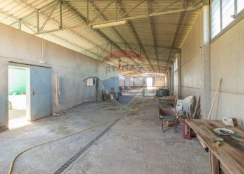 Non correlato - Terreno agricolo Località Campetuzzi, Pitigliano - foto 14