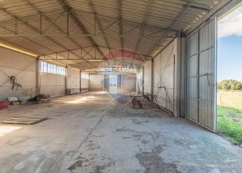 Parcheggio - Terreno agricolo Località Campetuzzi, Pitigliano - foto 15