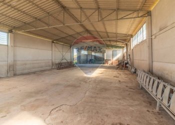 Parcheggio - Terreno agricolo Località Campetuzzi, Pitigliano - foto 16