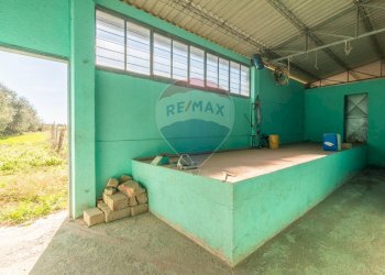 Piscina - Terreno agricolo Località Campetuzzi, Pitigliano - foto 17