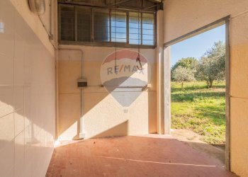 Terrazza - Terreno agricolo Località Campetuzzi, Pitigliano - foto 18