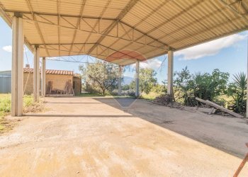 Terrazza - Terreno agricolo Località Campetuzzi, Pitigliano - foto 23