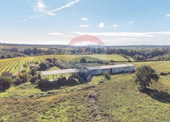 Vista delle montagne - Terreno agricolo Località Campetuzzi, Pitigliano - foto 24