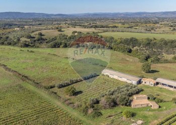 Vista delle montagne - Terreno agricolo Località Campetuzzi, Pitigliano - foto 27