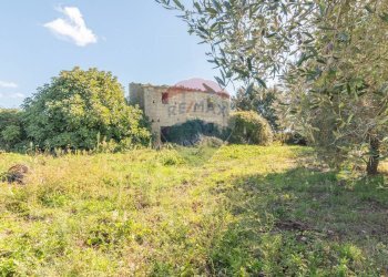 Giardino - Terreno agricolo Località Campetuzzi, Pitigliano - foto 28