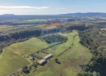 Vista delle montagne - Terreno agricolo Località Campetuzzi, Pitigliano - foto 29