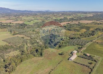 Vista delle montagne - Terreno agricolo Località Campetuzzi, Pitigliano - foto 30