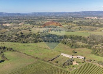 Vista delle montagne - Terreno agricolo Località Campetuzzi, Pitigliano - foto 31