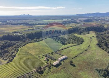 Vista delle montagne - Terreno agricolo Località Campetuzzi, Pitigliano - foto 33