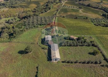 Posizione della mappa - Terreno agricolo Località Campetuzzi, Pitigliano - foto 34