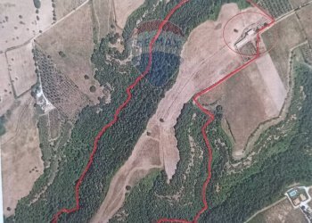 Posizione della mappa - Terreno agricolo Località Campetuzzi, Pitigliano - foto 35