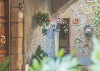 Dettagli - Trilocale Via del Fiore
 
101, Ischia di Castro - foto 3